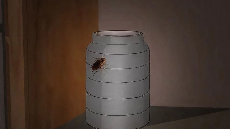 ساخت تله سوسک