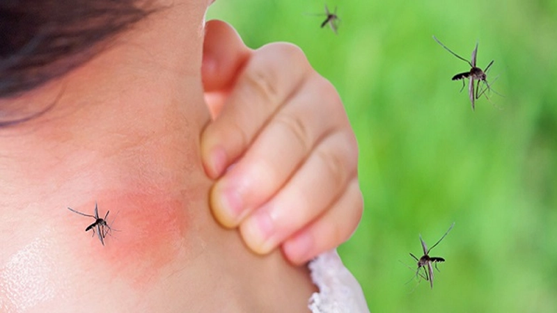 حشرات خانگی خطرناک