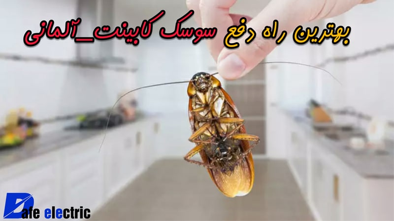 سوسک کابینت