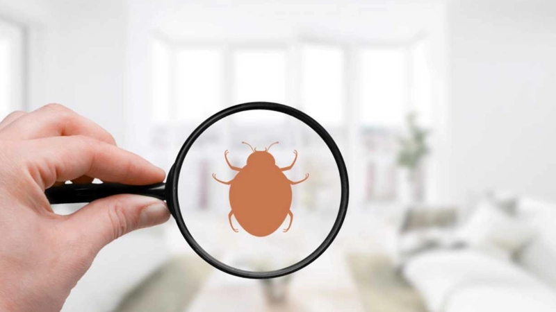 علائم ساس در منزل