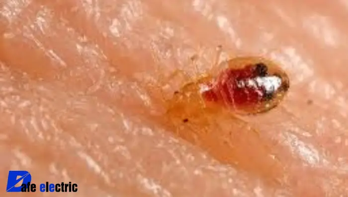 عکس بچه ساس