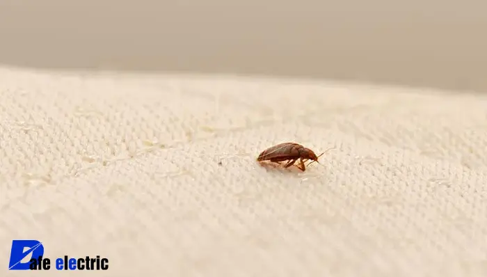 عکس ساس تختخوابی