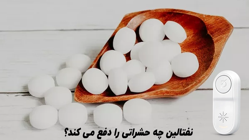 نفتالین چه حشراتی را دفع می‌کند؟