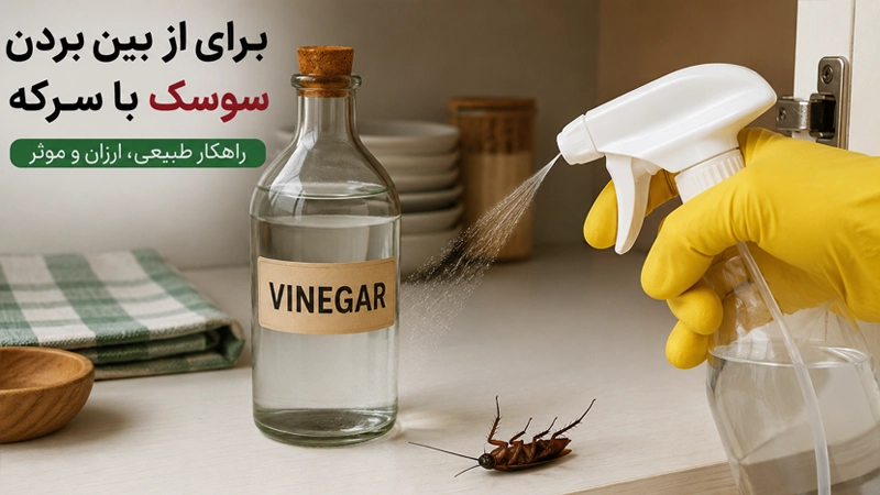 از بین بردن سوسک با سرکه