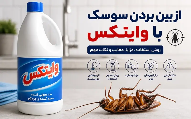 از بین بردن سوسک با وایتکس