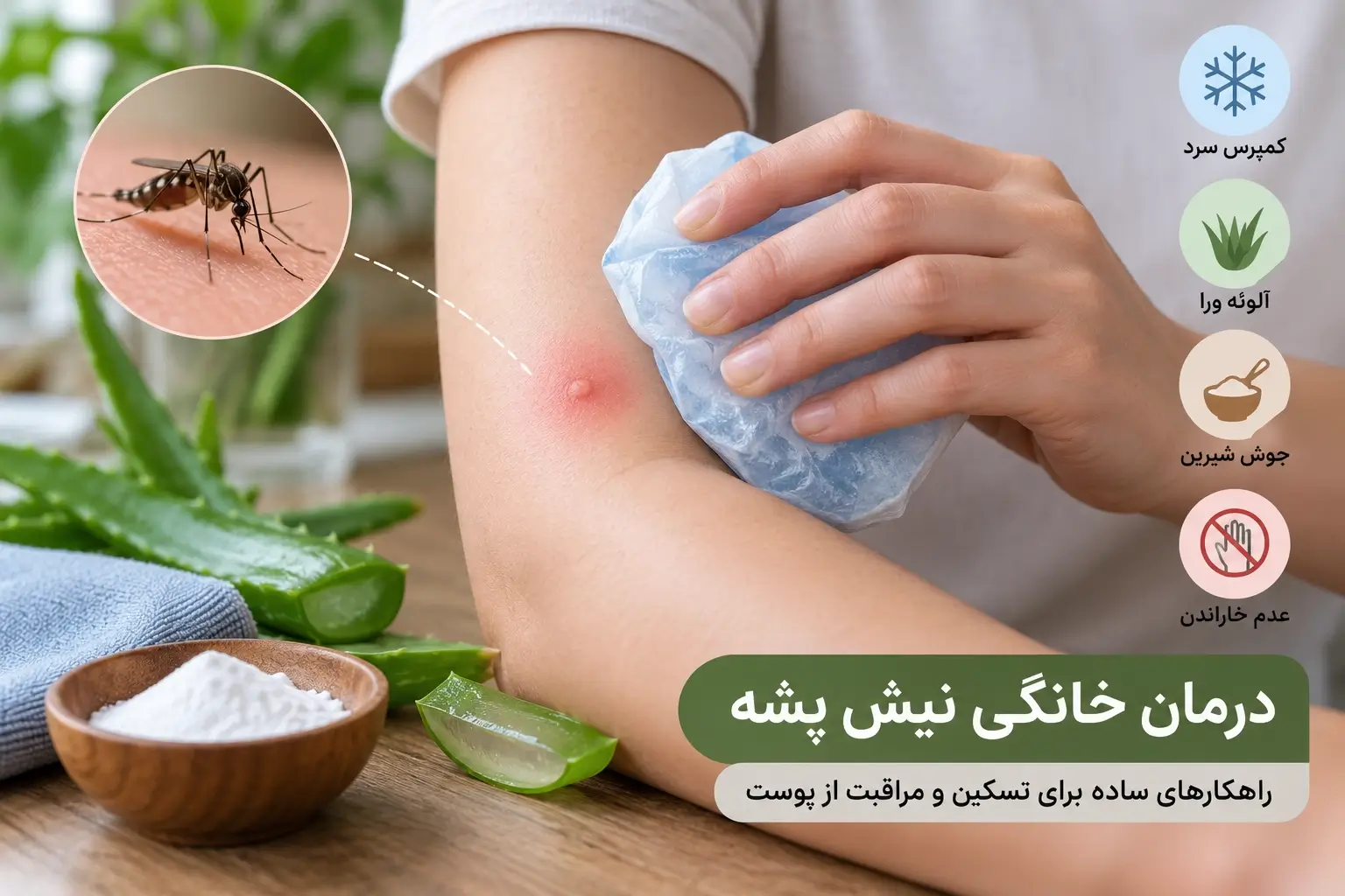 درمان خانگی نیش پشه
