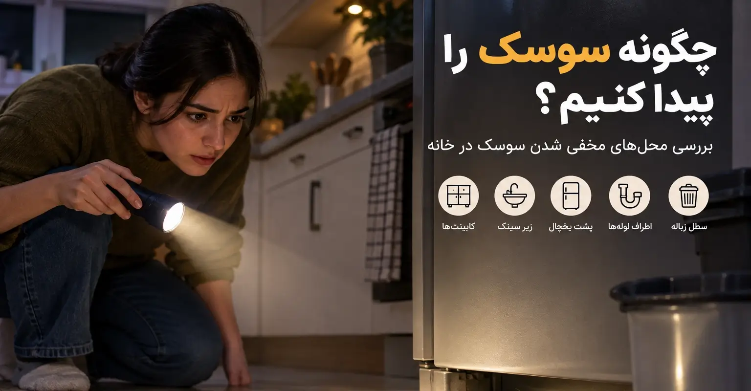 چگونه سوسک را پیدا کنیم؟